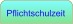 Pflichtschulzeit